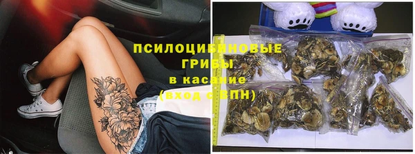 тгк Арсеньев