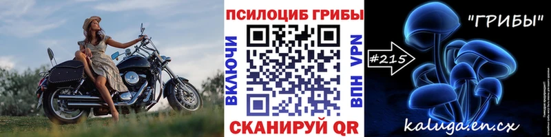 хочу наркоту  Малоархангельск  Псилоцибиновые грибы Psilocybe 
